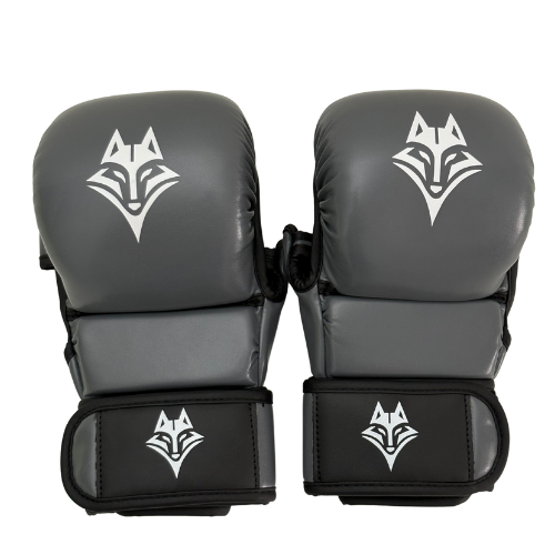 Smede MMA Start - Antarctique