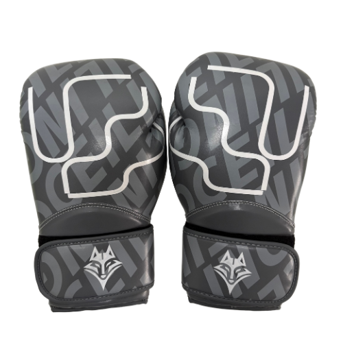 Smede BOXE Initiale - Antarctique