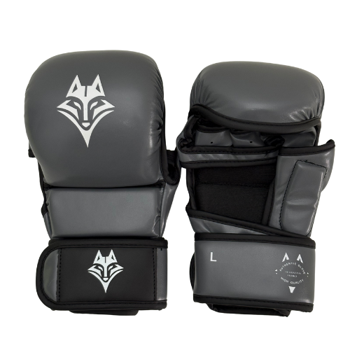 Smede MMA Start - Antarctique