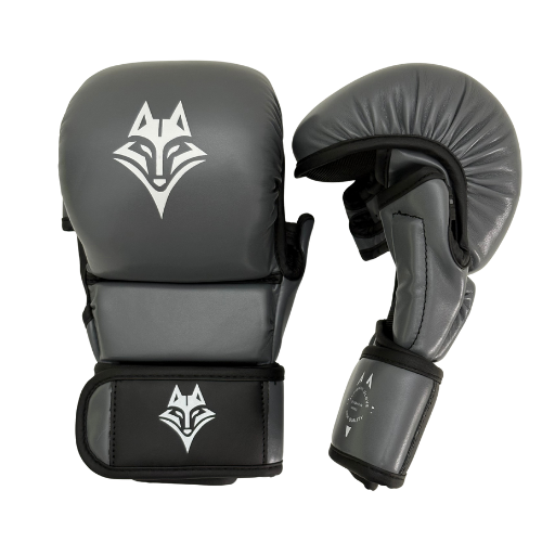 Smede MMA Start - Antarctique