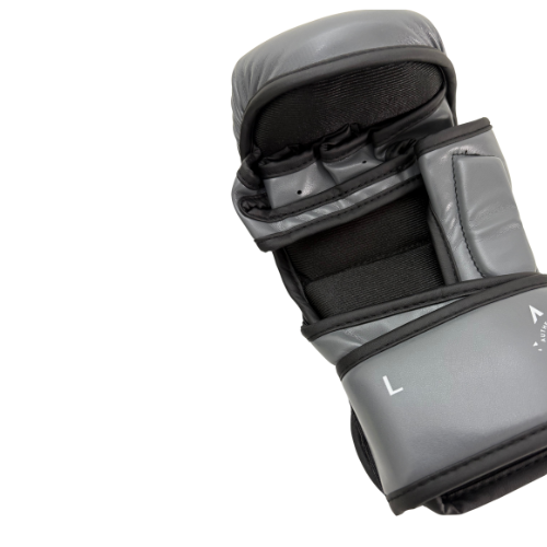 Smede MMA Start - Antarctique