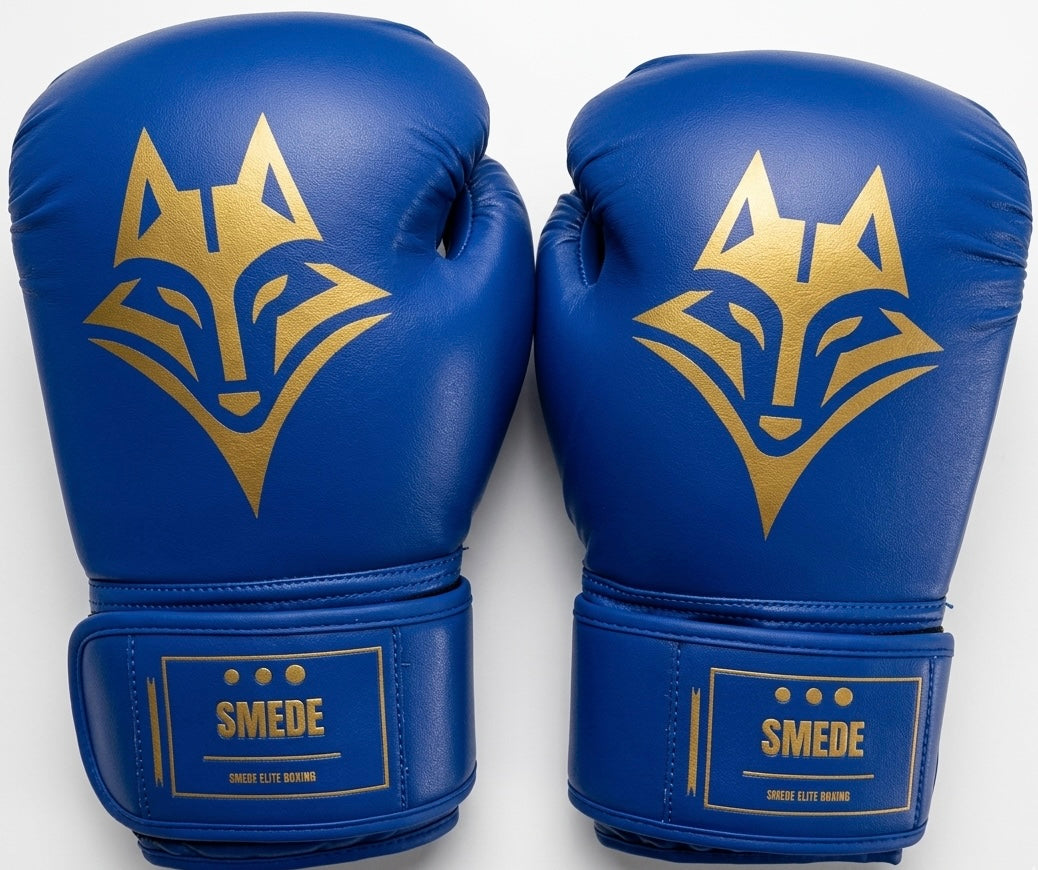 Pack Boxe Combat Smede - Bleu